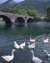 Апартаменты Riverside Guest House Риека-Црноевича-6
