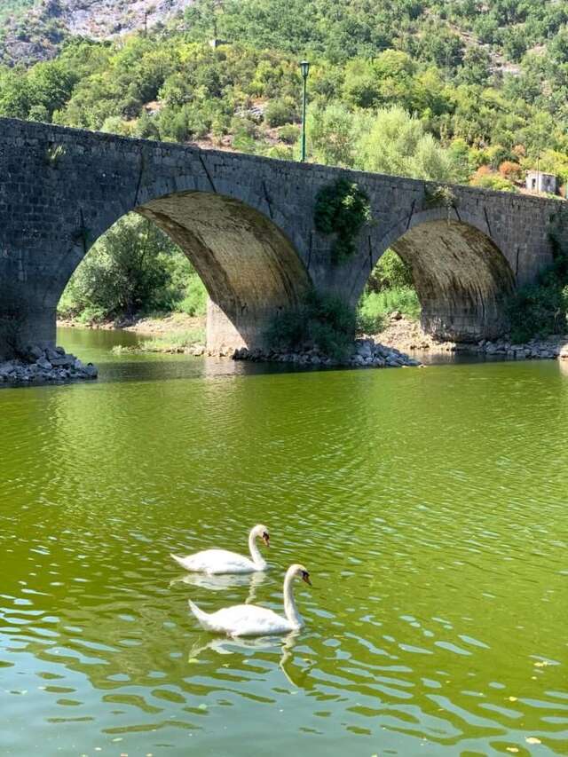 Апартаменты Riverside Guest House Риека-Црноевича-5